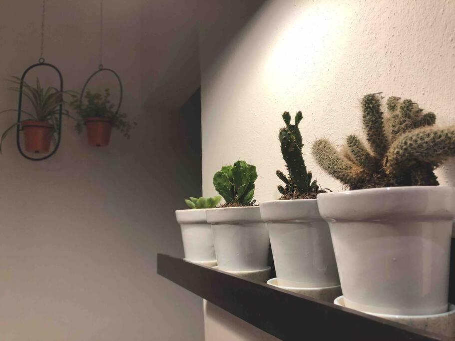 Apartaestudio#8 Aire Acondicionado Laborcillas エクステリア 写真