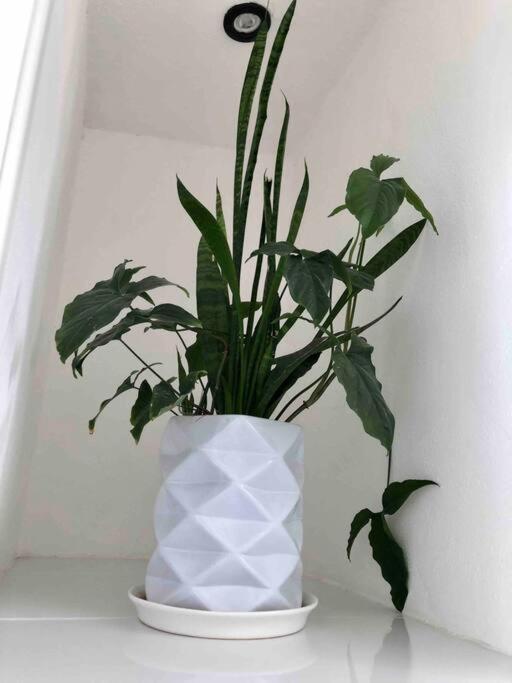 Apartaestudio#8 Aire Acondicionado Laborcillas エクステリア 写真