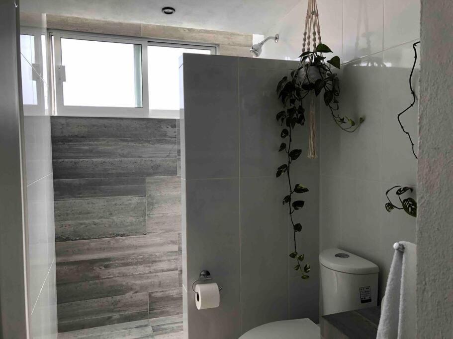 Apartaestudio#8 Aire Acondicionado Laborcillas エクステリア 写真