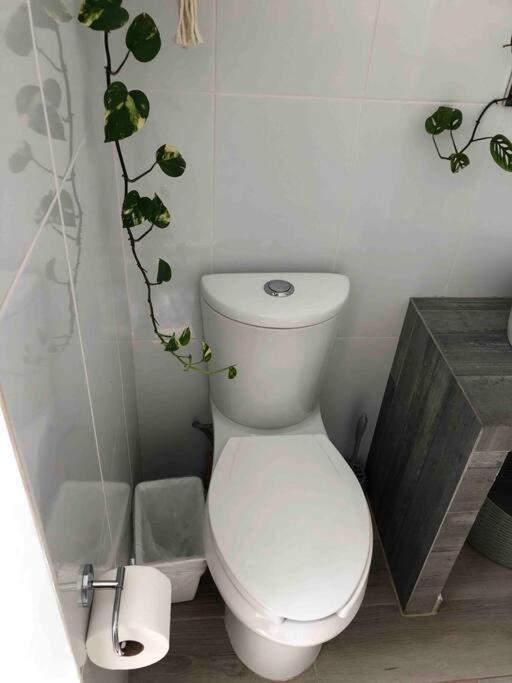 Apartaestudio#8 Aire Acondicionado Laborcillas エクステリア 写真